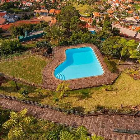 Flh Ocean View With Pool Lägenhet Funchal (Madeira)